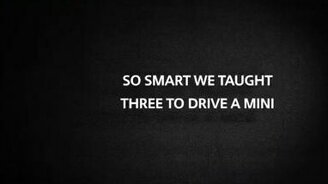 Автошкола для собак - смотреть видео (1:40)