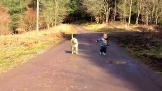 Кто кого выгуливает? - смотреть видео (1:04)