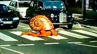 Улитка переползает дорогу - смотреть видео (0:48)