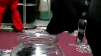 В банке как в танке - смотреть видео (0:37)