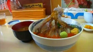 Танцующий осьминог - смотреть видео (0:42)