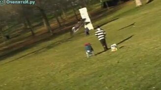 Орёл ворует малыша - смотреть видео (1:00)