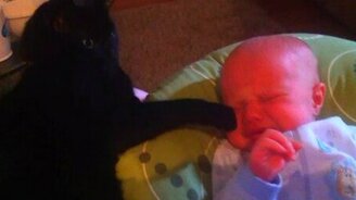 Кот успокаивает малыша - смотреть видео (1:39)