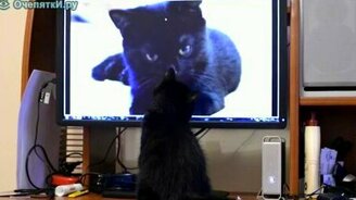 Да это же я! - смотреть видео (1:48)