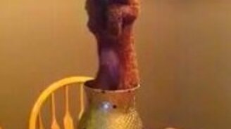 Маленький циркач в вазе - смотреть видео (0:17)