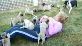 Щенки атакуют - смотреть видео (1:09)