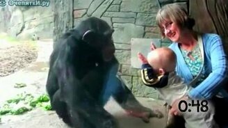 Животные против детей в зоопарке - смотреть видео (0:57)
