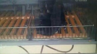 Кот в витрине магазина - смотреть видео (0:25)