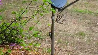 Конфуз дятла - смотреть видео (0:15)