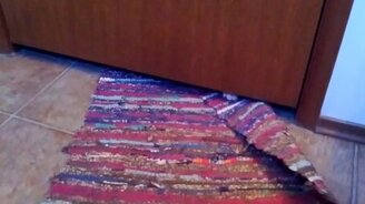 Котик крадёт коврик - смотреть видео (0:42)