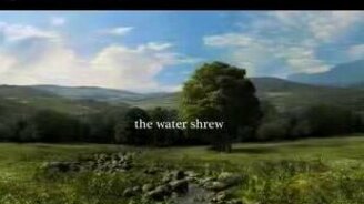 Мышиная матрица - смотреть видео (4:05)