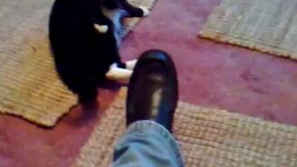 Страшный чёрный ботинок - смотреть видео (0:11)