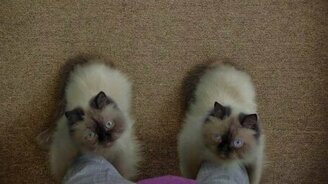 Неплохие такие ботинки - смотреть видео (0:30)