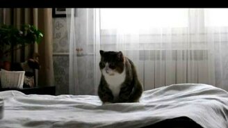 Машка-экстремалка - смотреть видео (0:33)