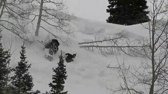 Нежданный сход лавины - смотреть видео (2:00)