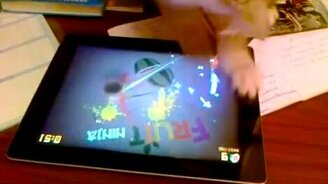 Котёнок играет во Фруктового Ниндзю - смотреть видео (1:17)