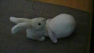 Смешной кролик и игрушка - смотреть видео (0:38)