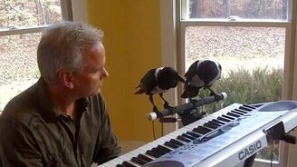 Вороны играют на пианино - смотреть видео (0:57)