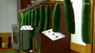 Метатель карт по огурцам - смотреть видео (1:27)
