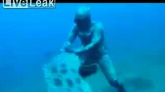 Отобрала рыбу у водолаза - смотреть видео (0:35)