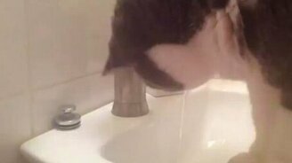 Котяра и струя воды - смотреть видео (0:39)