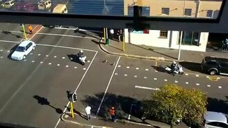 Две утки с выводком на дороге - смотреть видео (0:50)