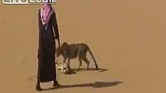 Домашний охотник - смотреть видео (1:17)