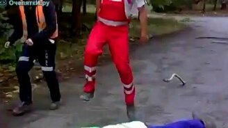 Гадюка атакует! - смотреть видео (0:25)