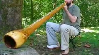 Огромная дудка - смотреть видео (1:54)