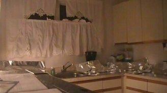 Защита кухни от кошек - смотреть видео (0:14)