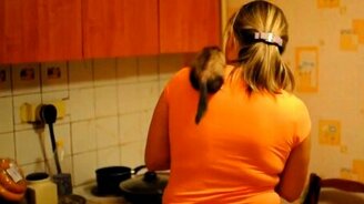 Хорёк дома - смотреть видео (2:27)