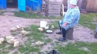 Бабушка из деревни строит уток - смотреть видео (0:28)