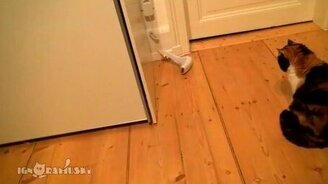 Страшный носок - смотреть видео (0:46)