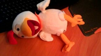 Курица - истеричка - смотреть видео (0:32)