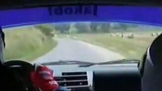 Неожиданно во время гонки - смотреть видео (0:12)