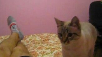 Котя, принеси зайчика - смотреть видео (0:47)