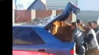 Загрузили ослика в багажник - смотреть видео (1:06)