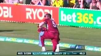 Ловкач в крикете - смотреть видео (0:57)