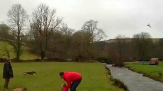 Собака перепрыгивает речку - смотреть видео (0:07)