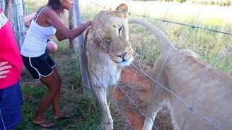 Девушка с большими кошечками - смотреть видео (1:22)