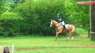 Месть по-лошадиному - смотреть видео (0:30)