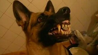 Молниеносная смена настроения - смотреть видео (0:33)