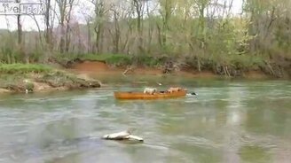 Пёс спас своих друзей - смотреть видео (1:13)