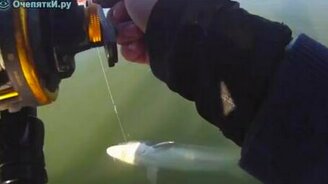 Ловля огромного осетра - смотреть видео (5:19)