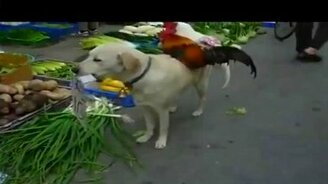 Хотите с нами сфотографироваться? - смотреть видео (0:36)