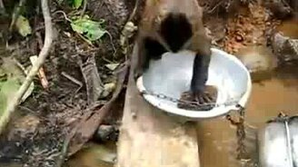 Хозяйственная обезьянка-мамашка - смотреть видео (0:48)