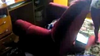 Молниеносная белка - смотреть видео (1:11)