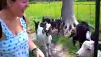 Девушка кормит разговорчивого козла - смотреть видео (2:00)