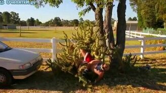 Прыгнул на кактус - смотреть видео (0:44)