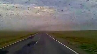 Тучи саранчи - смотреть видео (0:42)